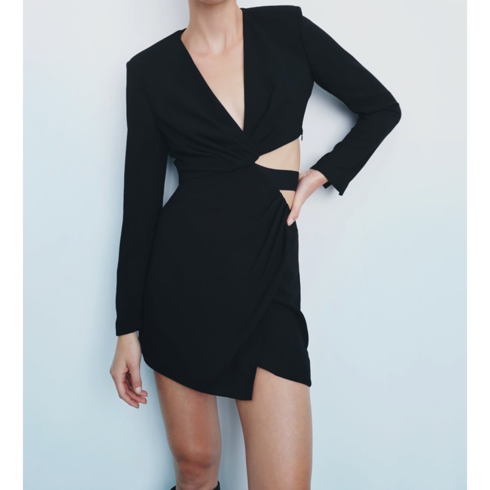 Zara Cut Out Dress